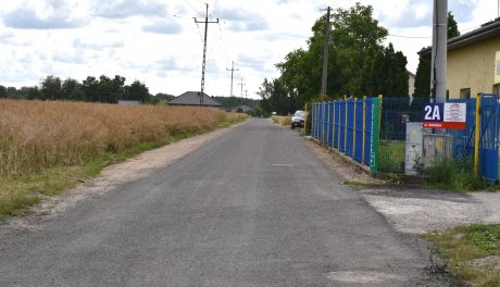 Kolonijna wyrównana i utrwalona