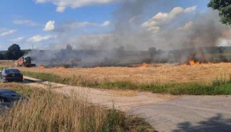 SPEED nie tylko od piratów drogowych