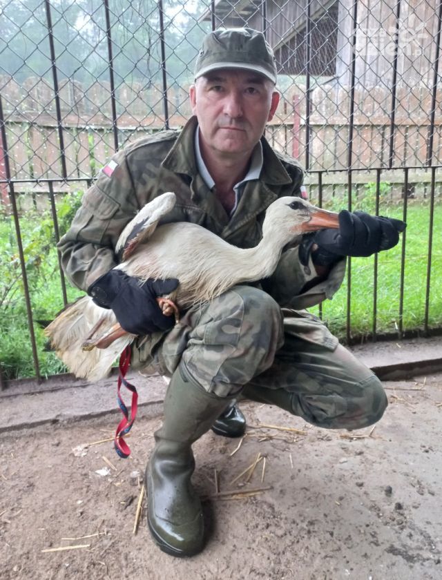 Był ranny. Na pomoc ruszyła mu mieszkanka Warszawy!