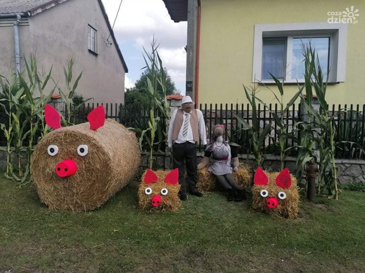 Dożynki w gminie Ciechanów. Atrakcji nie brakowało!