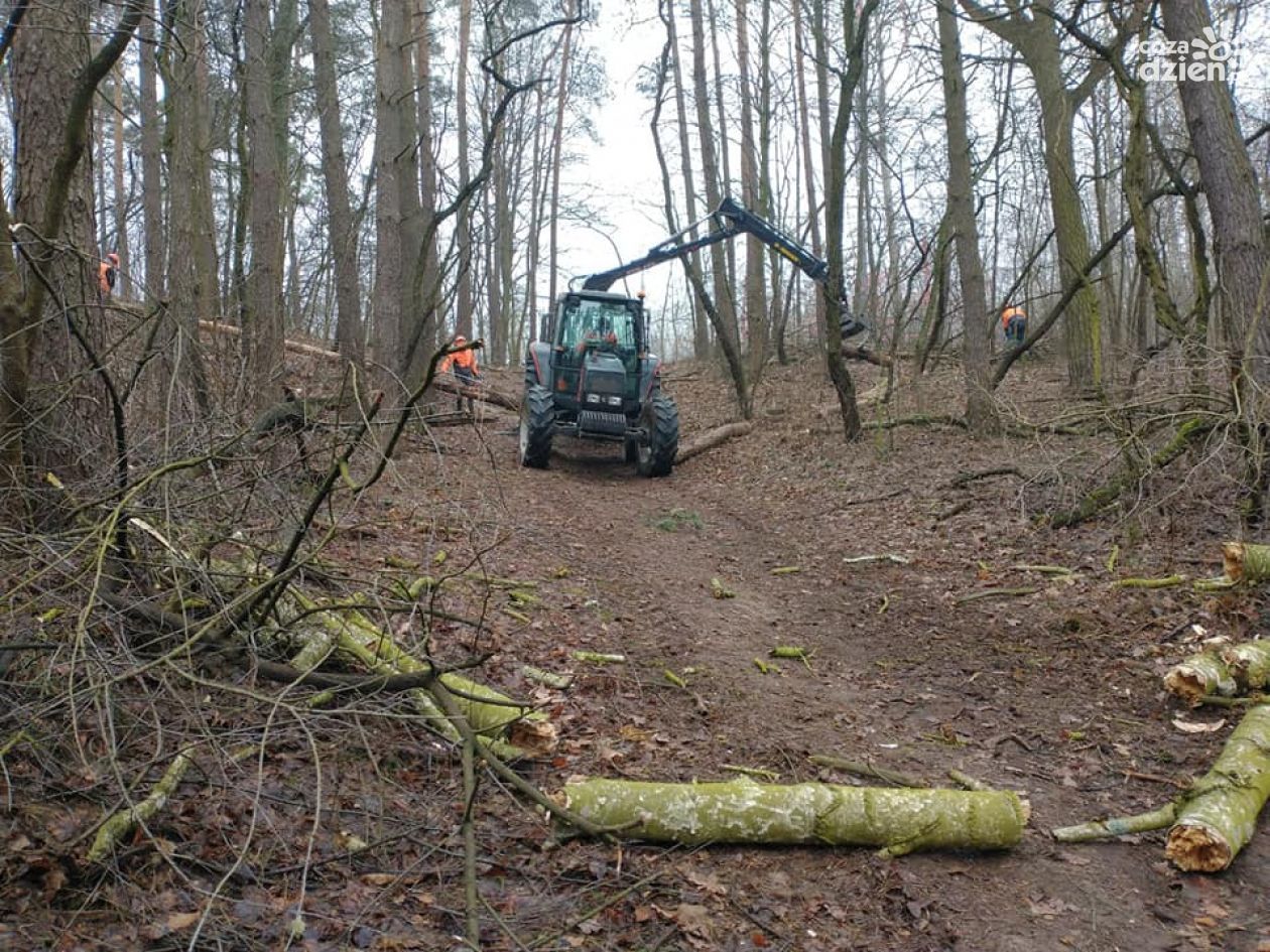 Las Śmieciński będzie parkiem
