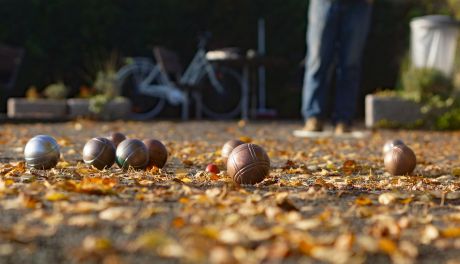 Muzeum Romantyzmu opanują bule