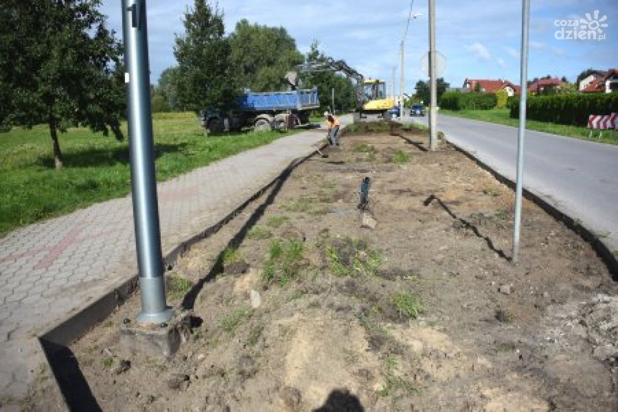 Nowe nasadzenia przy ul. Parkowej 