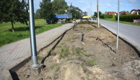 Nowe nasadzenia przy ul. Parkowej w Ciechanowie