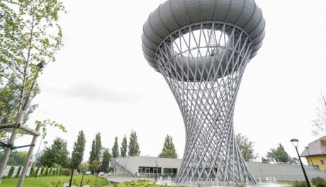 Torus "wygumkowany" przez ministerstwo