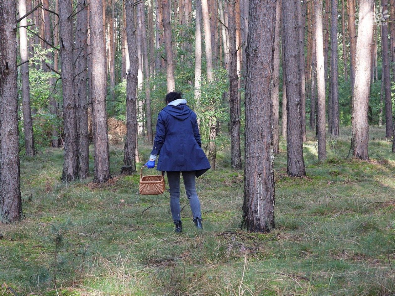 Ostrożnie na grzybach!