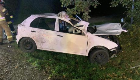 Groźny wypadek pod Ciechanowem. Osobówka zderzyła się z łosiem