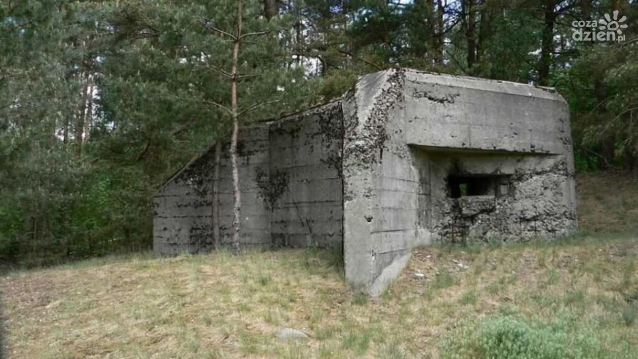 Mława na szlaku turystycznym?