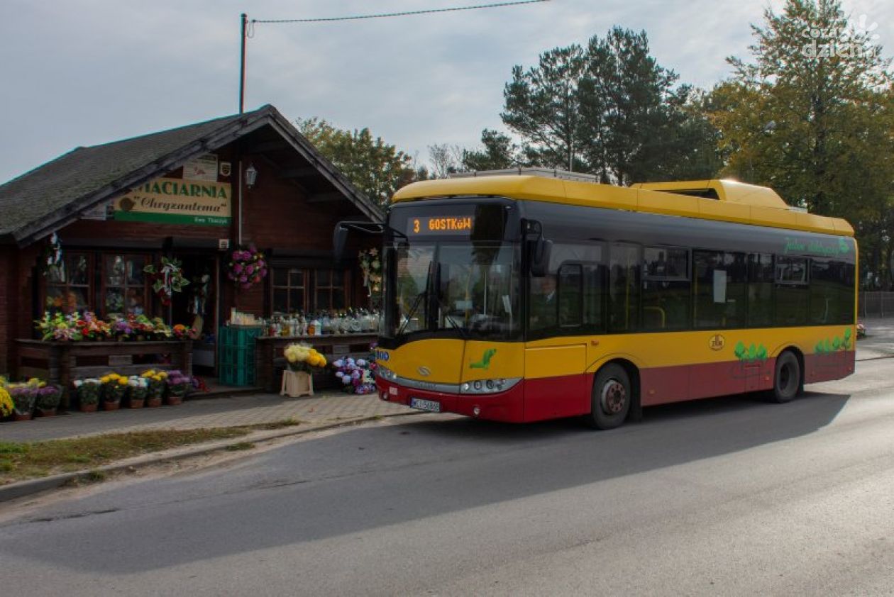 Autobusem na cmentarz. Sprawdź rozkład