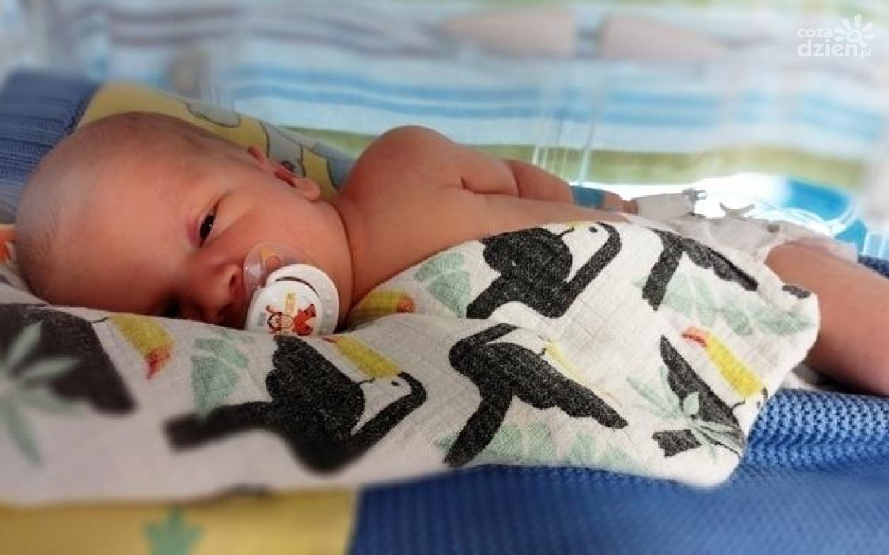 Antoś potrzebuje naszej pomocy!