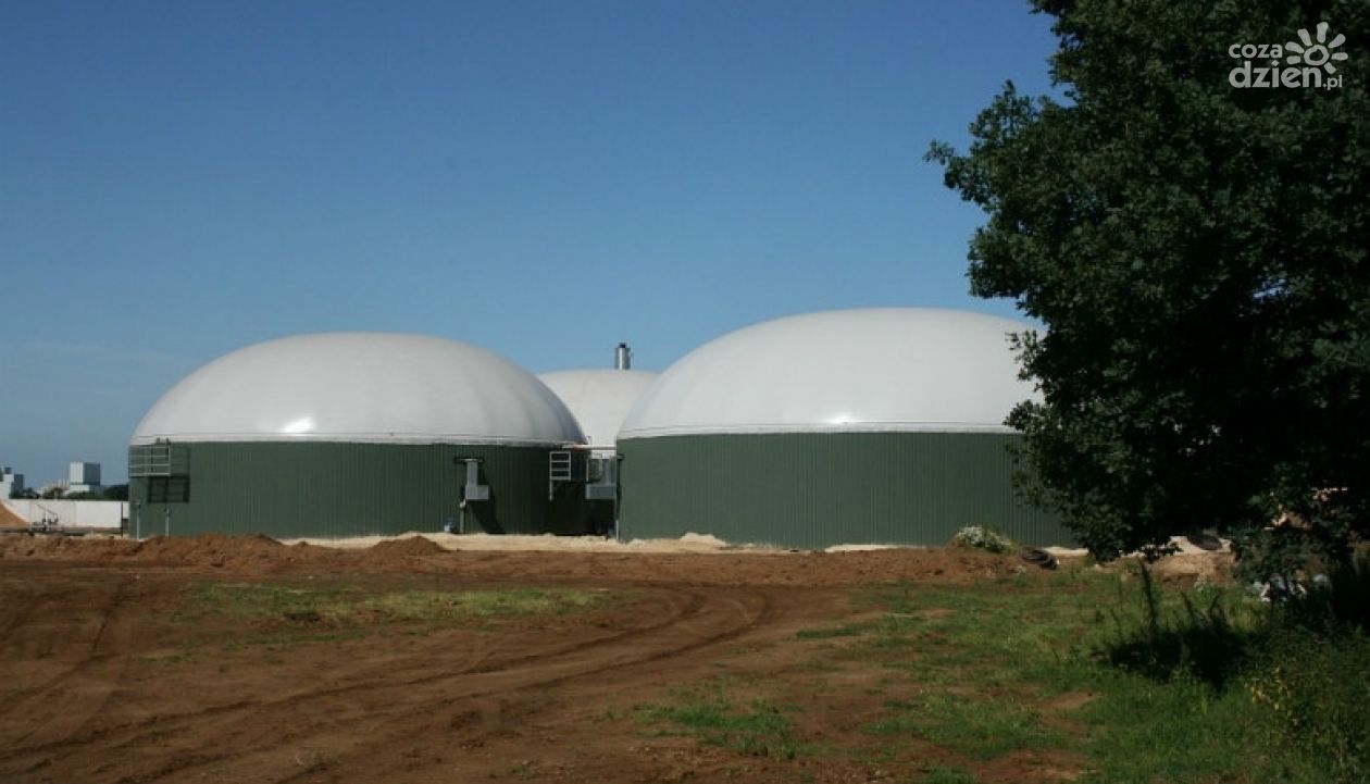 Biometanownia pod Glinojeckiem?