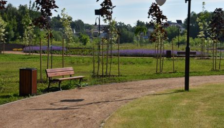 Ciechanowscy ojcowie mają swój park, zasadzili tam już ponad sto drzew