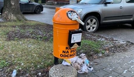 Tak wygląda kosz na psie odchody w Raciążu. Burmistrz: Ręce opadają