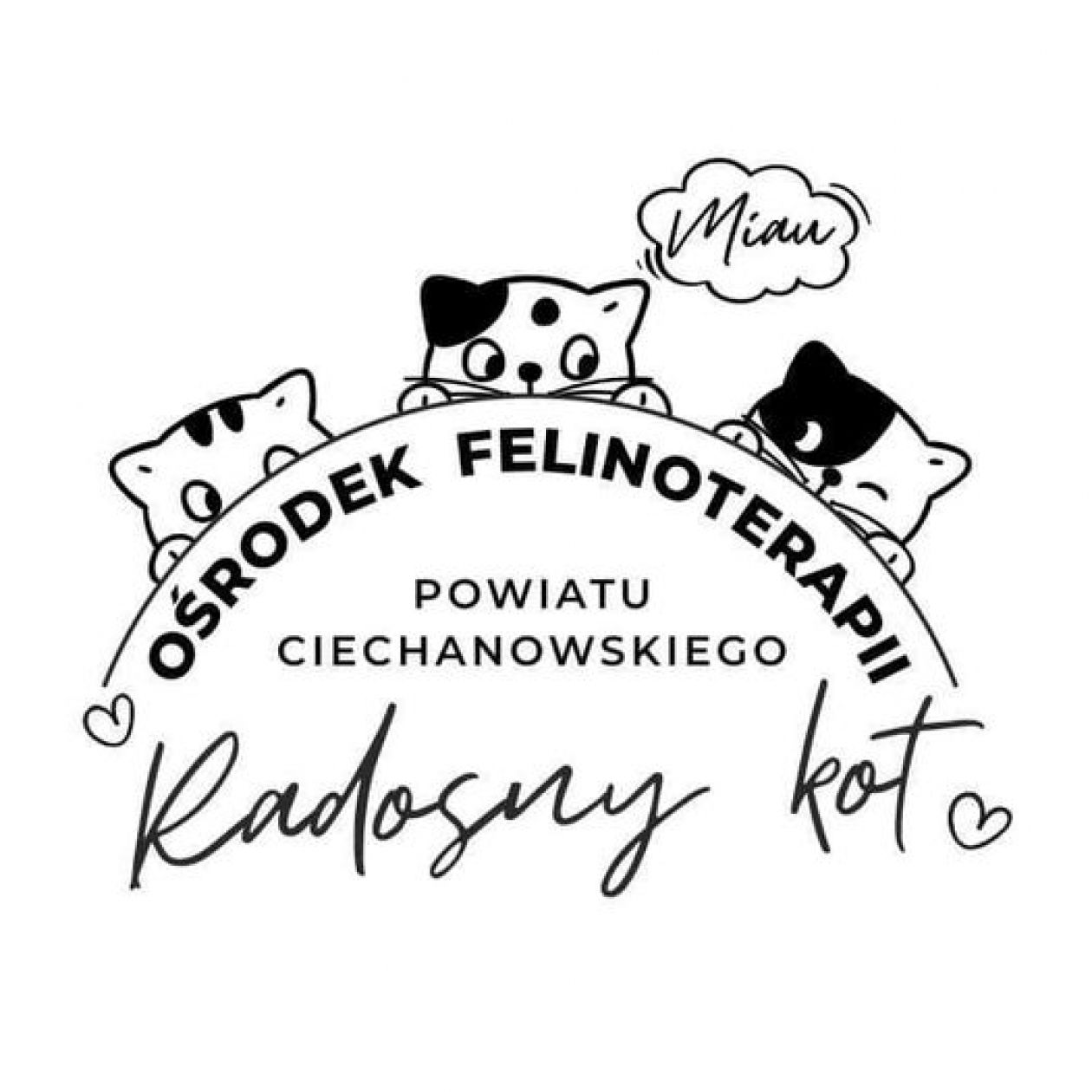 Czas na mruczące podsumowania!