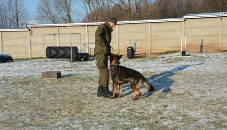 Mazowiecka Brygada Obrony Terytorialnej
rozpoczyna program „GPR K9 WOT”