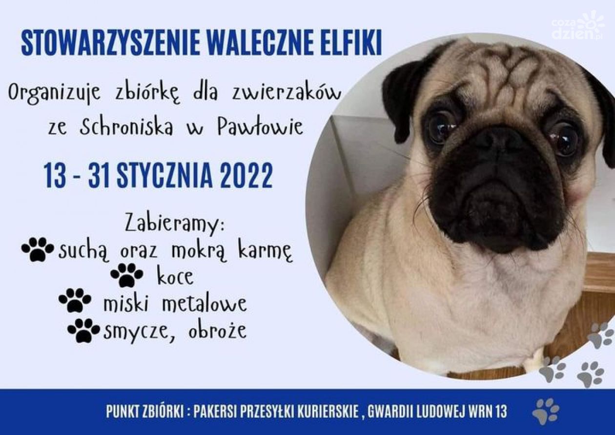 Karma wraca! Pomóż psiakom