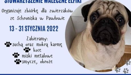 Pakersi łączą siły z Walecznymi Elfikami-wszystko z myślą o psach
