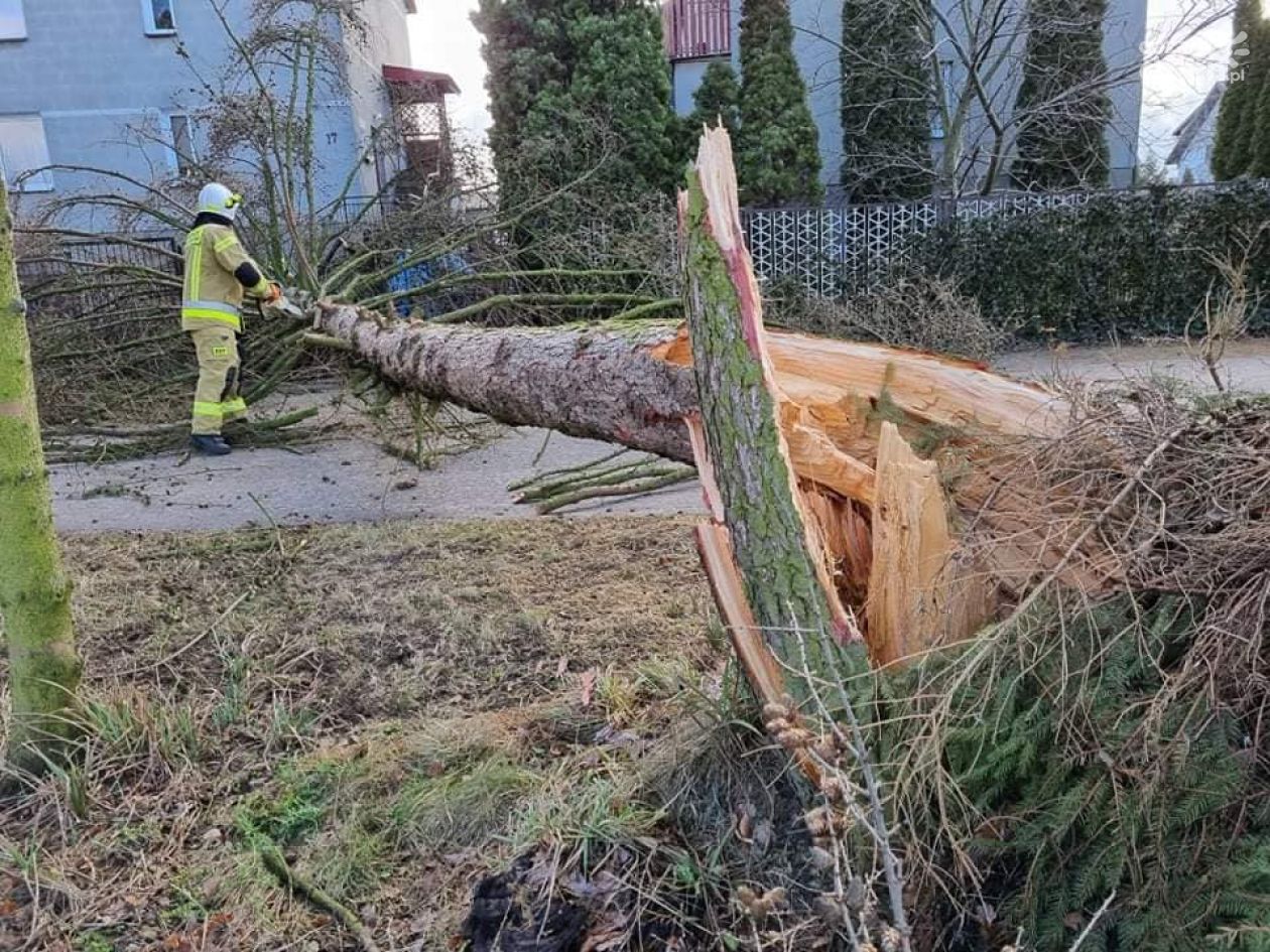 Oto skutki wichury!