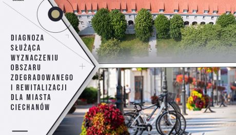 Mają na celu stworzenie szczegółowej diagnozy obszaru rewitalizacji