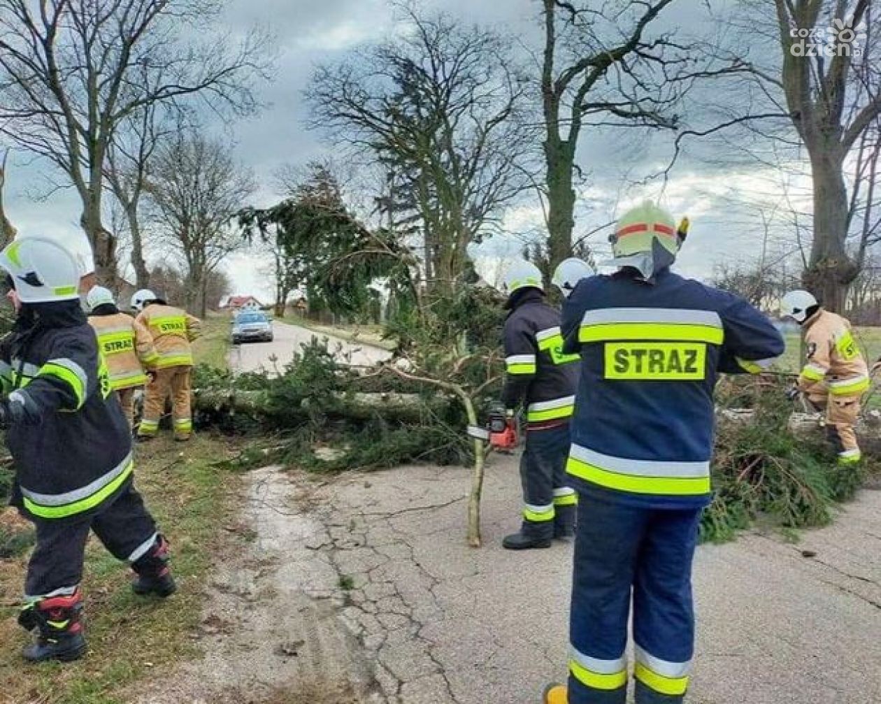 Mława liczy straty po wichurze