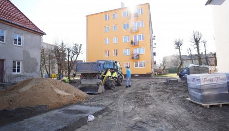 Więcej zieleni na Blokach w Ciechanowie. Prace potrwają do wiosny