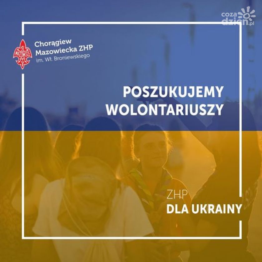 Wolontariusz potrzebny od zaraz