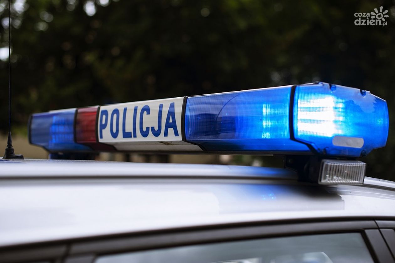 Ojciec z synem kradli na potęgę