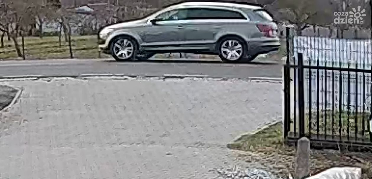 Policja na tropie Audi Q7