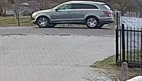 Płońska policja na tropie Audi Q7. Prawdopodobnie tym samochodem śmiertelnie potrącona została rowerzystka