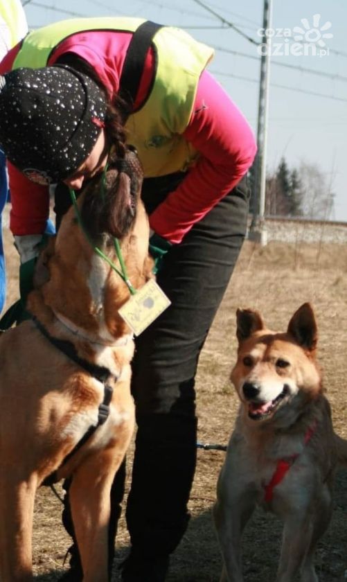 Wielkanocne adopcje w Pawłowie