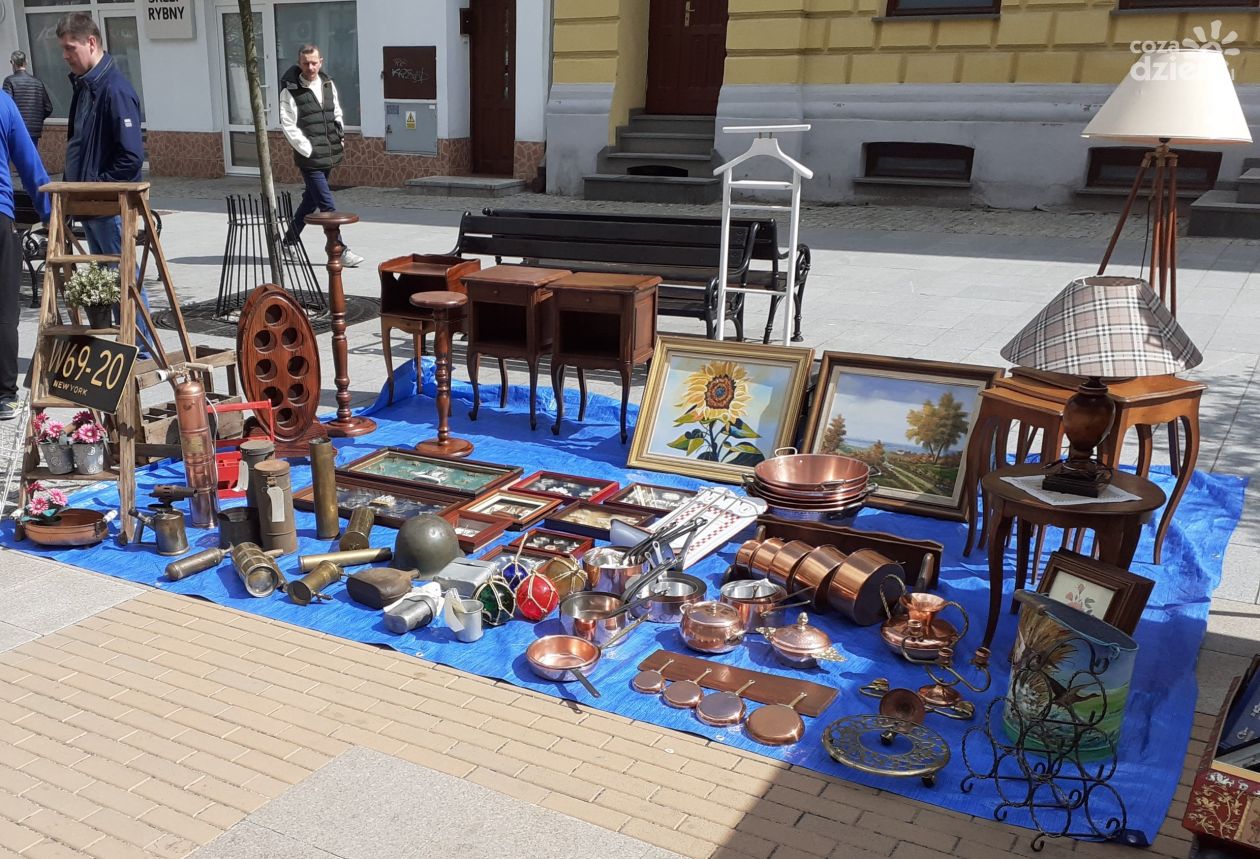 Papuga, kataryniarz i Pchła Szachrajka