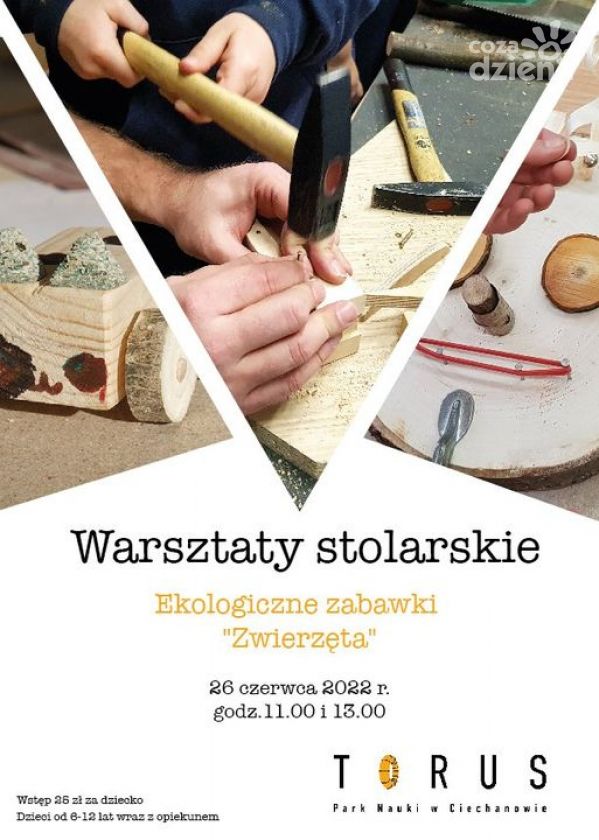 Wezmą w ręce piły, młotki i...