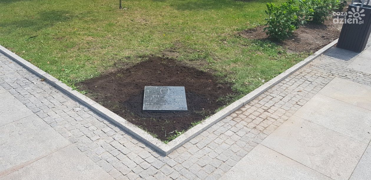 Zostanie otwarta za 50 lat