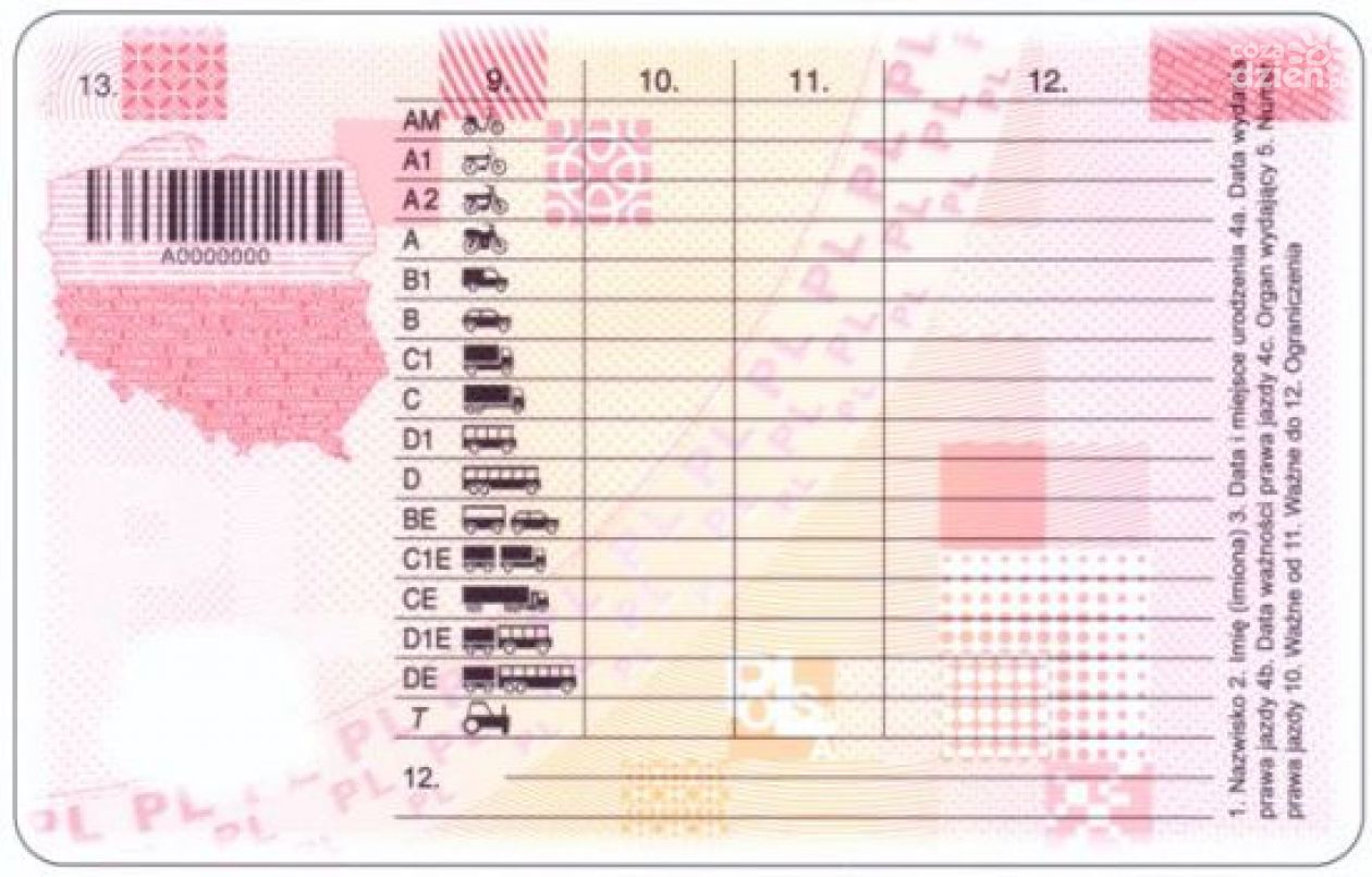 Prawo jazdy to nie tylko papier