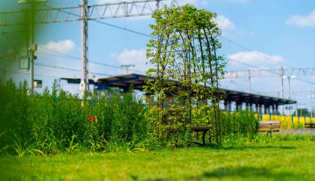 Pierwsza taka w Ciechanowie. Przy dworcu kolejowym powstała "Zielona poczekalnia"