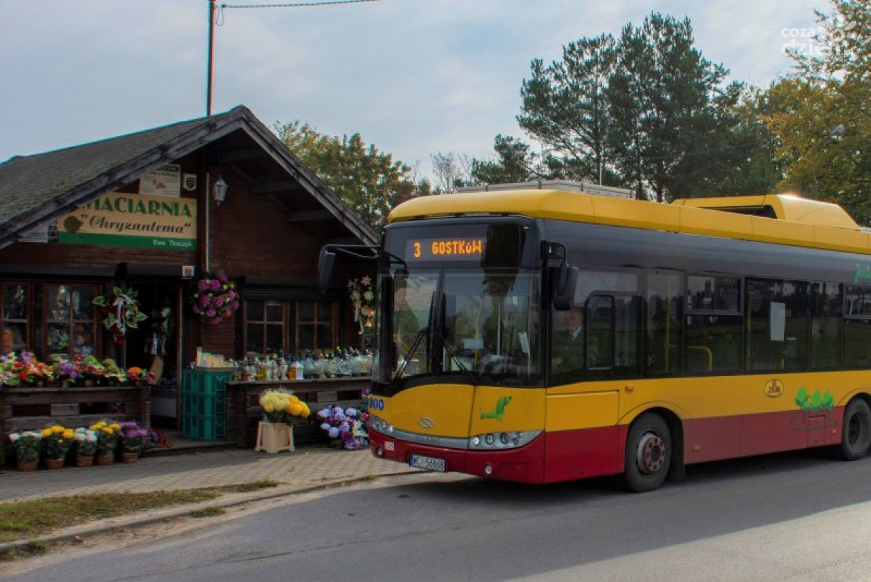 Autobusem na cmentarz