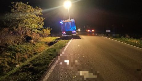 Zawinił brak odblasku? Pieszy ranny na drodze Rumoka - Ościsłowo