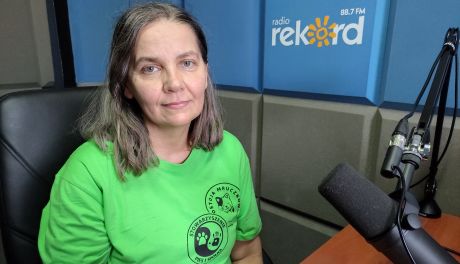 Ilona Kowalska: Ktoś w Ciechanowie wyrzucił koty do śmietnika