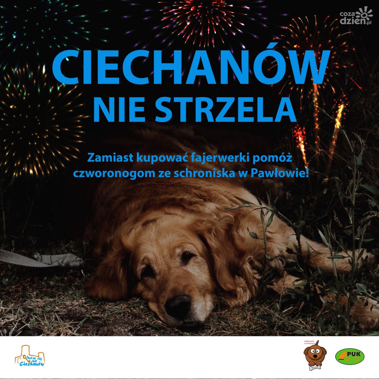 Strzelać czy nie strzelać?