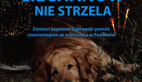 Strzelać czy nie strzelać? Miasto odpowiada: Zamiast kupować fajerwerki pomóż czworonogom