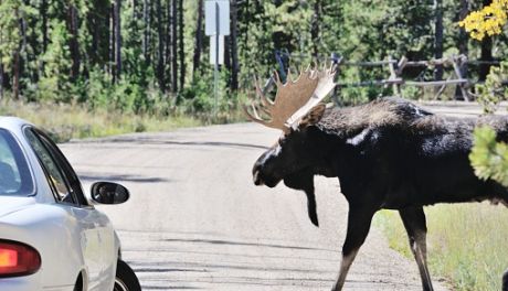 22-letni kierowca ranny. Wypadek na trasie Młock - Ojrzeń