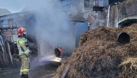 Bydło w niebezpieczeństwie. Groźny pożar pod Ciechanowem