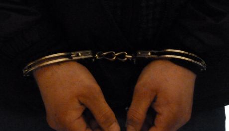 Pójdą siedzieć za wycinkę? Policja zatrzymała 3 osoby 