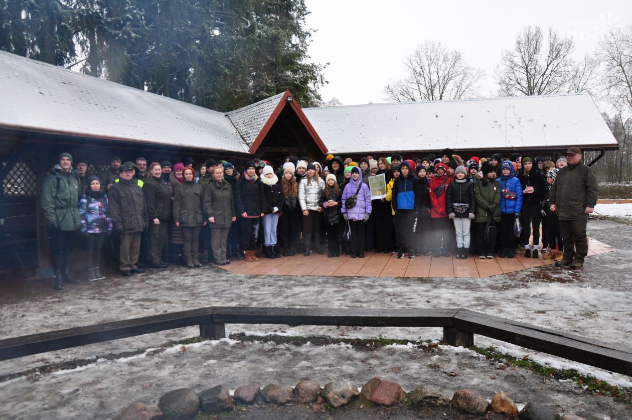DalEKOwzorczne w akcji