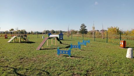 Mława przebudowuje wybieg dla psów