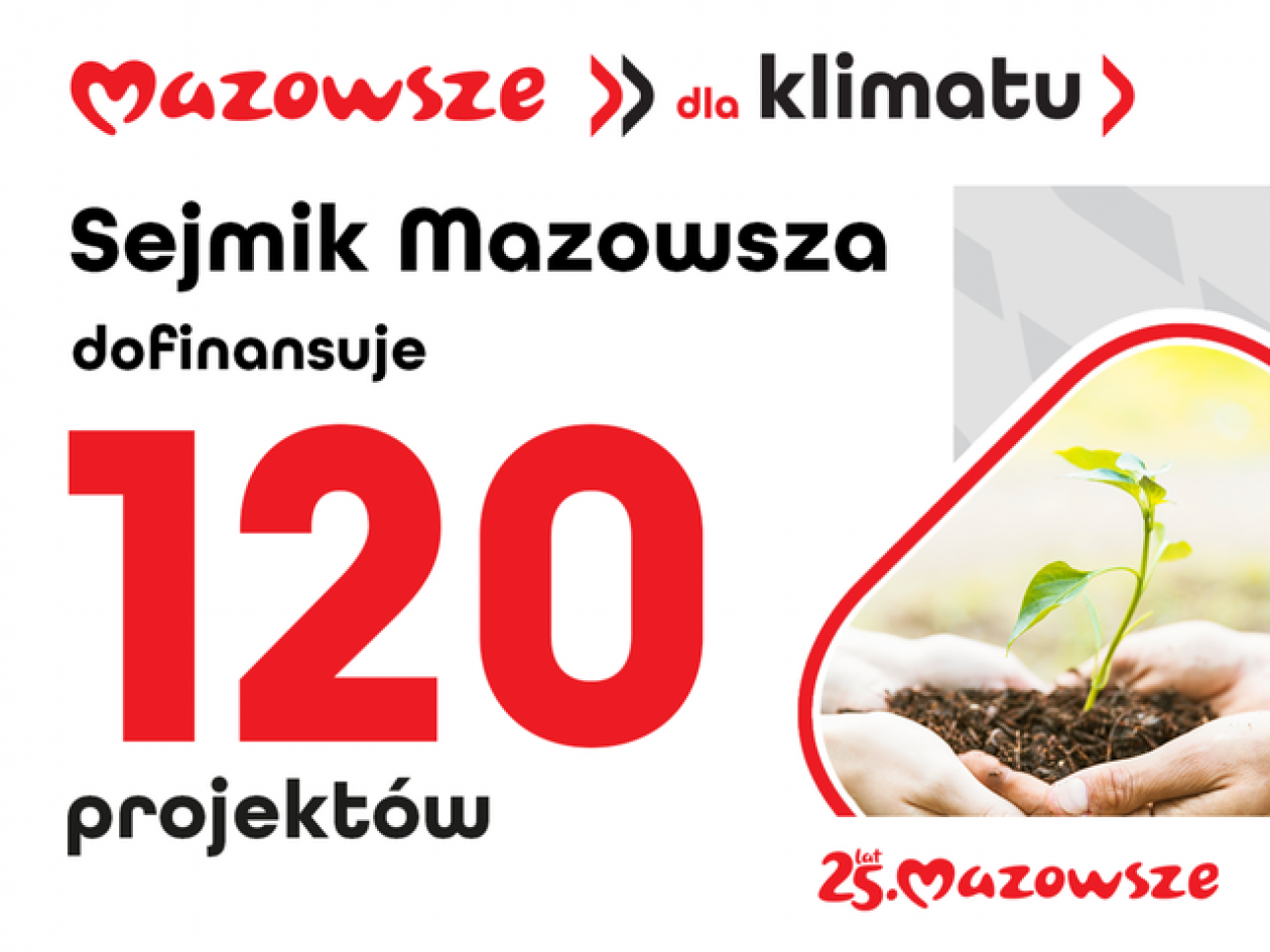 Czują klimat