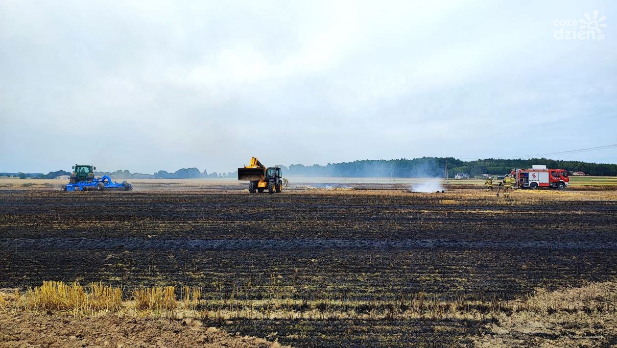 Ogień objął prawie 2 ha zboża