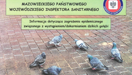 Dzikie ptactwo może przenosić zarazki i pasożyty, a tym samym choroby. Inspektor sanitarny ostrzega