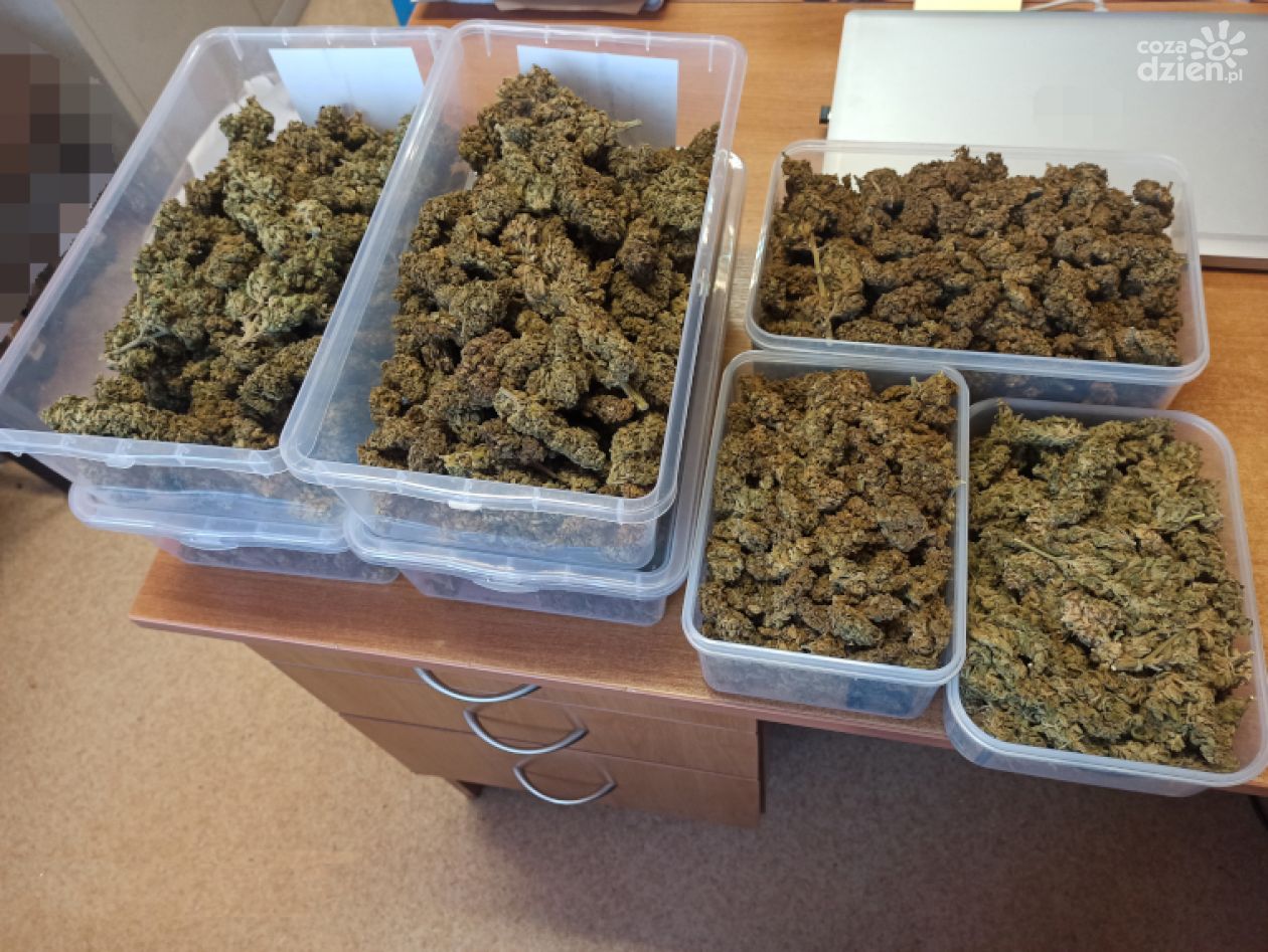 Trzymał w domu kilogram marihuany 