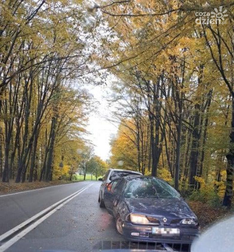 Poślizg i dachowanie
